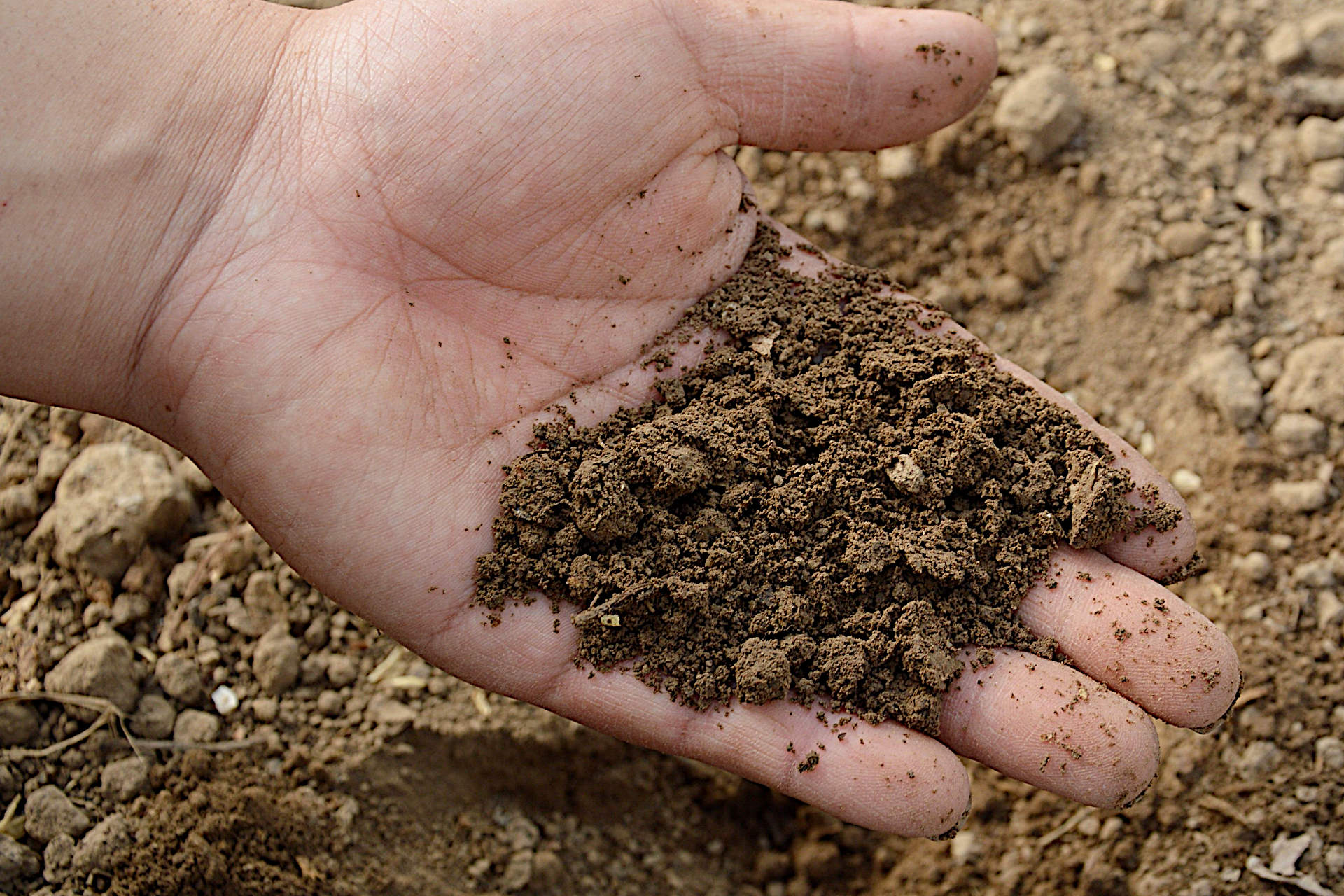 Soil to Compost Ratio How Much Compost Should You Add to Your Soil