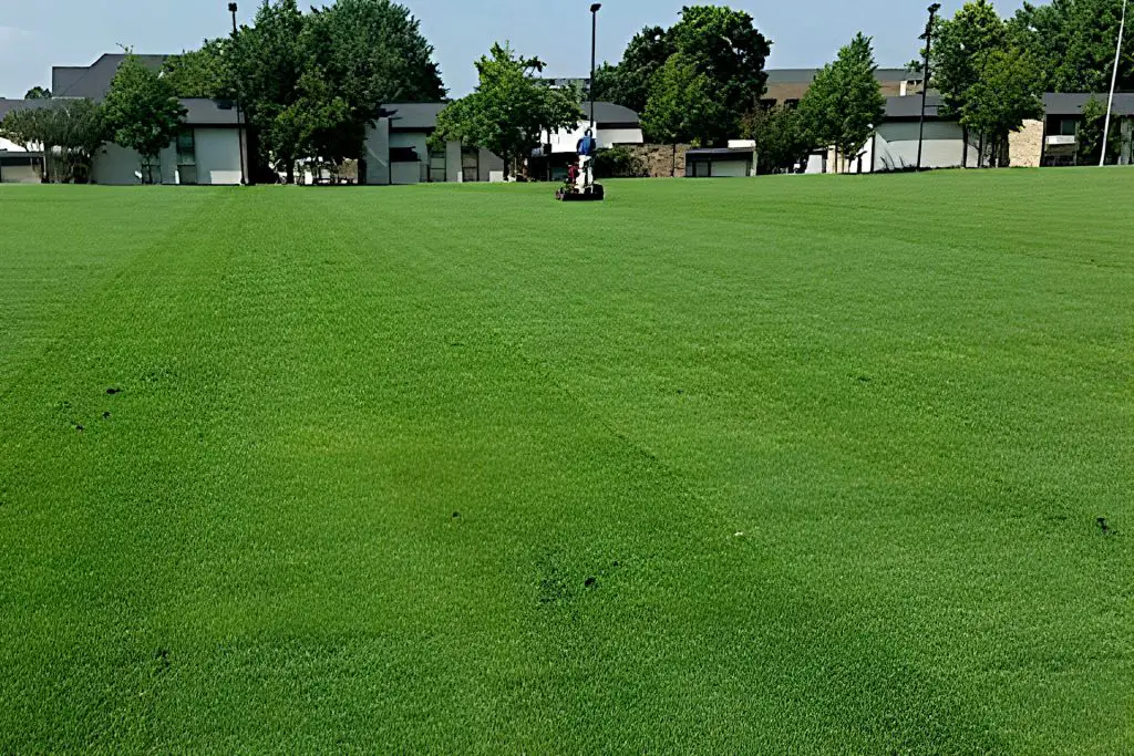 How do you add sand to artificial turf?