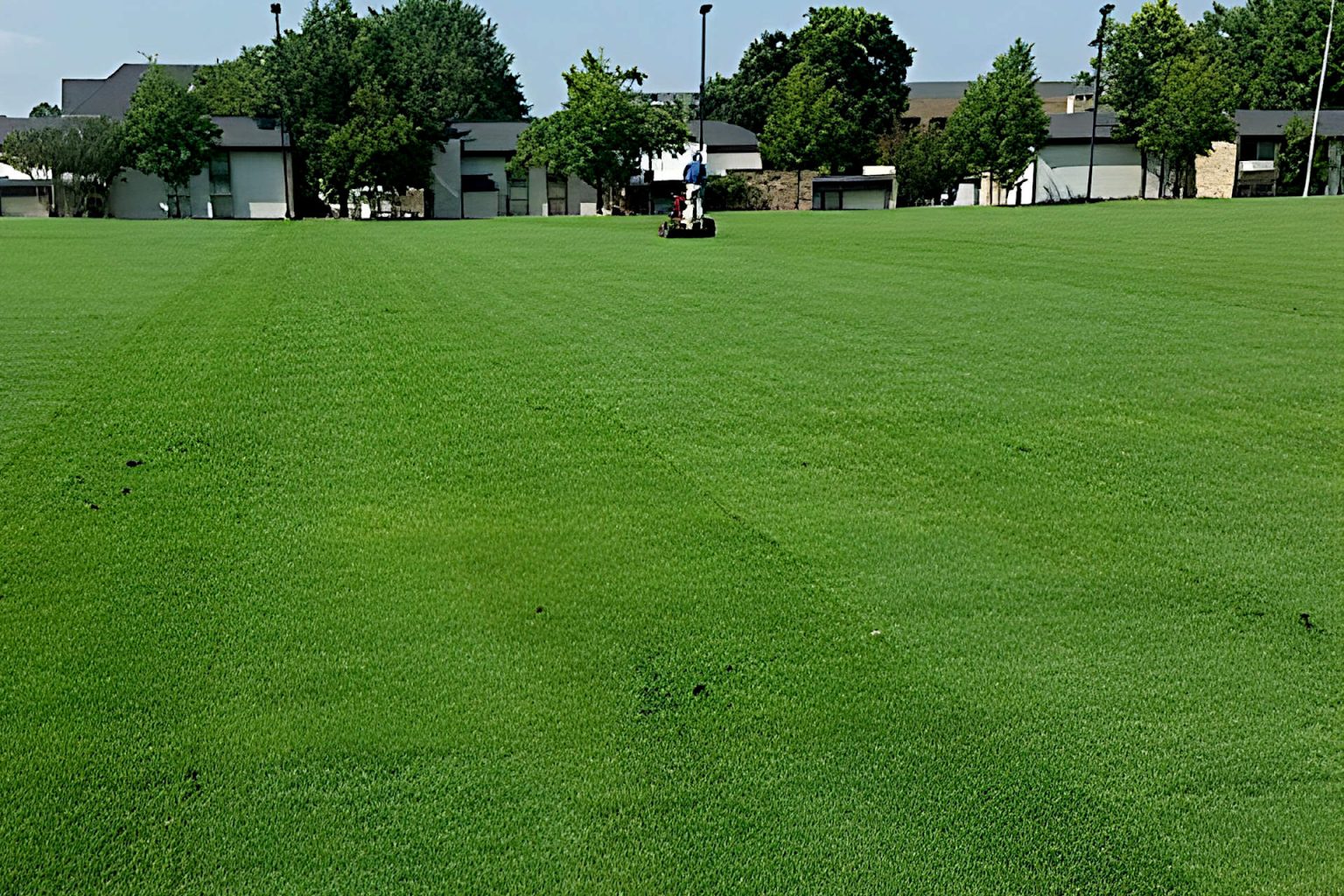 What Kind of Sand Do You Use for Artificial Grass? Sand for Artificial