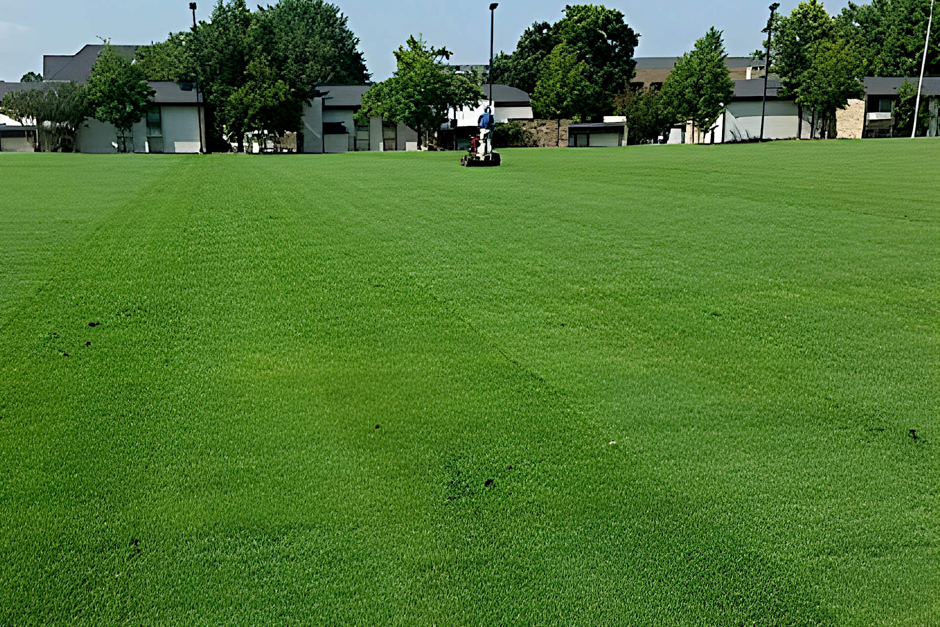 What Kind Of Sand Do You Use For Artificial Turf