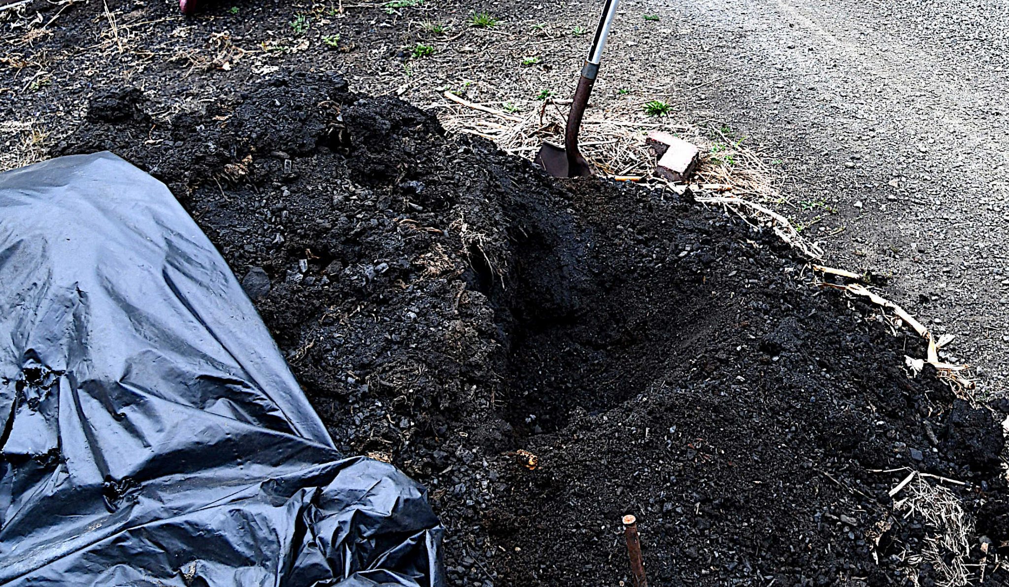 Can Too Much Compost Hurt Plants Dark Side of Adding Too Much Organic