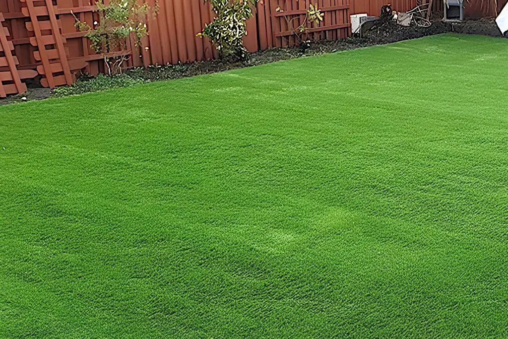 sand infill for domestic artificial lawn