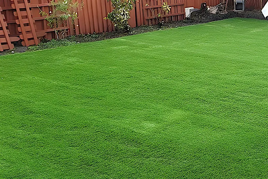 what-kind-of-sand-do-you-use-for-artificial-grass-sand-for-artificial