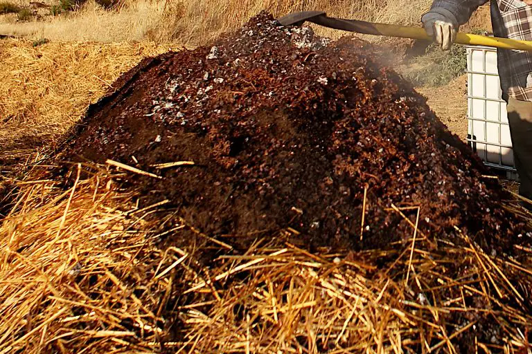 Turning Your Compost: How Often to Turn Compost to Speed Up Decomposition