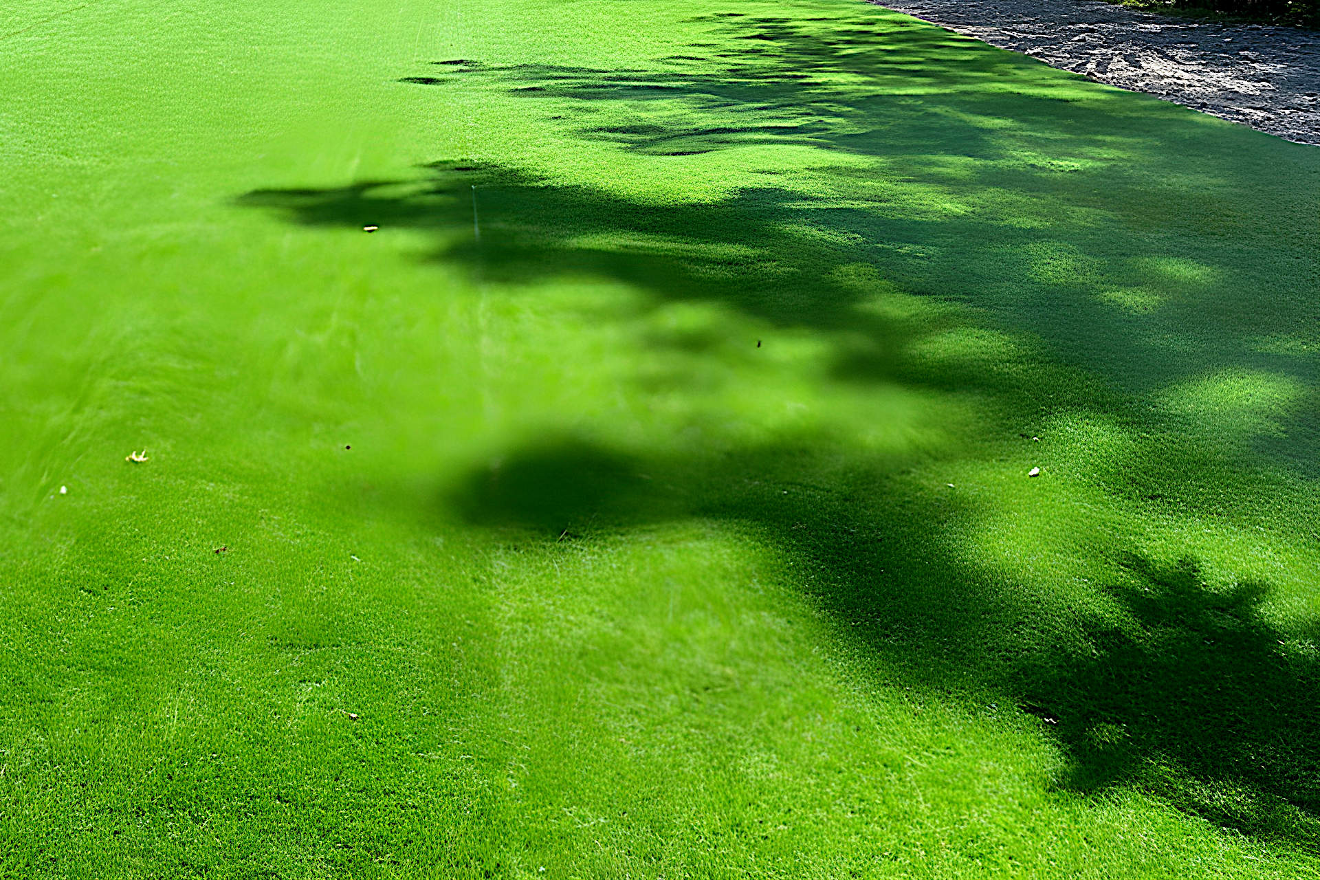 How Much Water Is Needed to Cool Down Artificial Turf? Ways to Cool