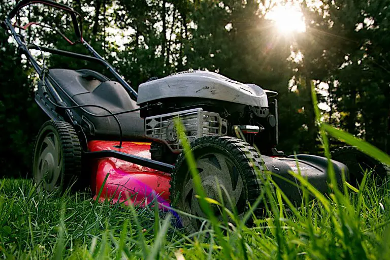 Lawn Mowers and Garden Tractors and How to Choose the Right Type for Your Garden