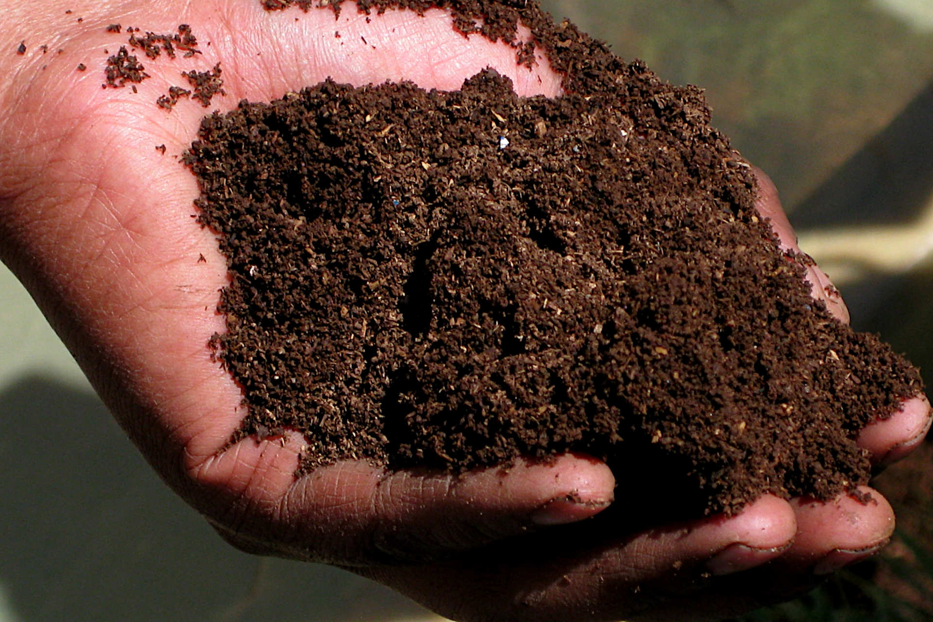 Can Too Much Compost Hurt Plants: Dark Side of Adding Too Much Organic Material