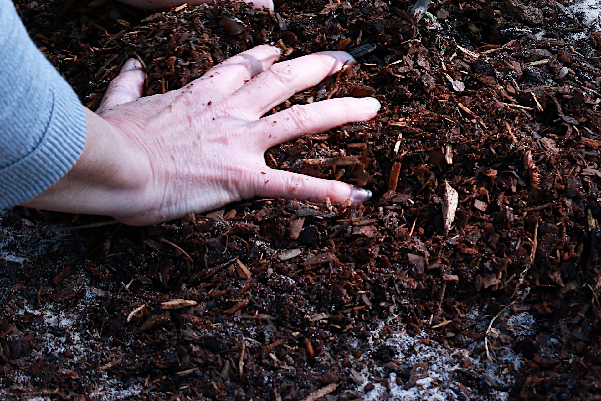 Grass Clippings in Compost Powering up Your Composting Gardening Latest