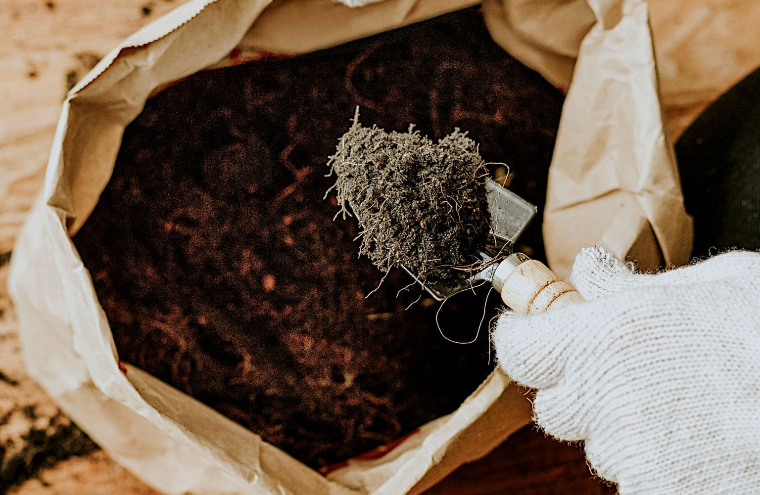 Compost vs Potting Soil What Are the Differences and Which Should Use Use? Gardening Latest