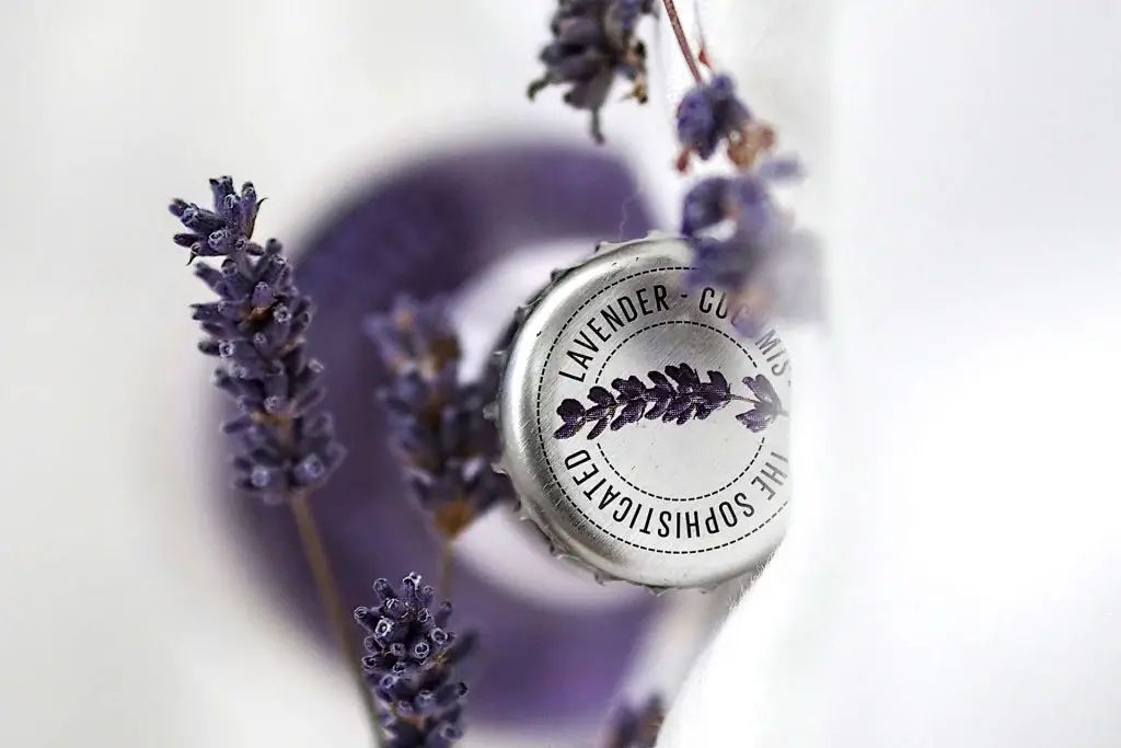 Medical Properties of Lavender