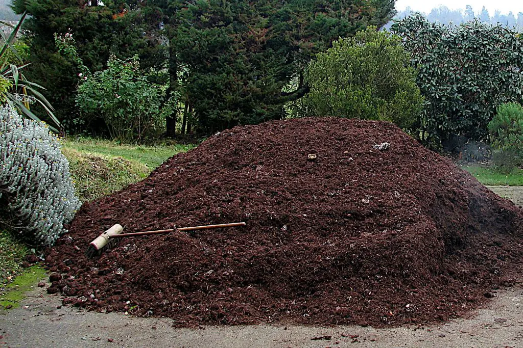 mushroom compost for use