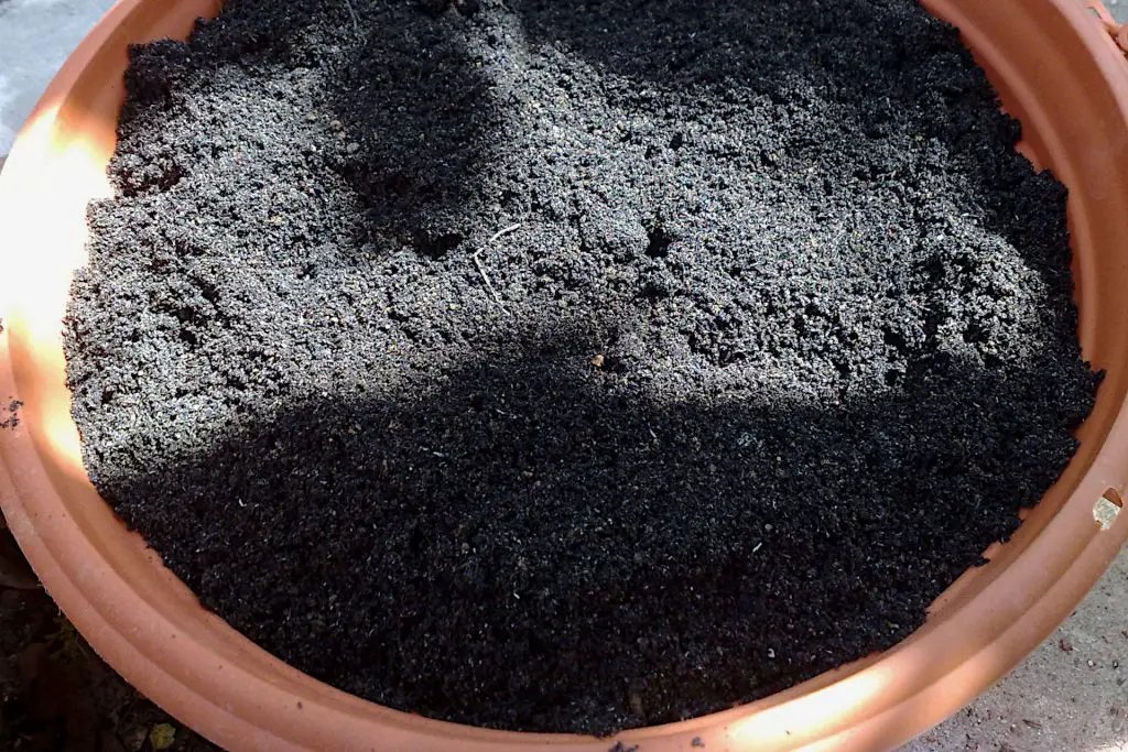Compost vs Potting Soil