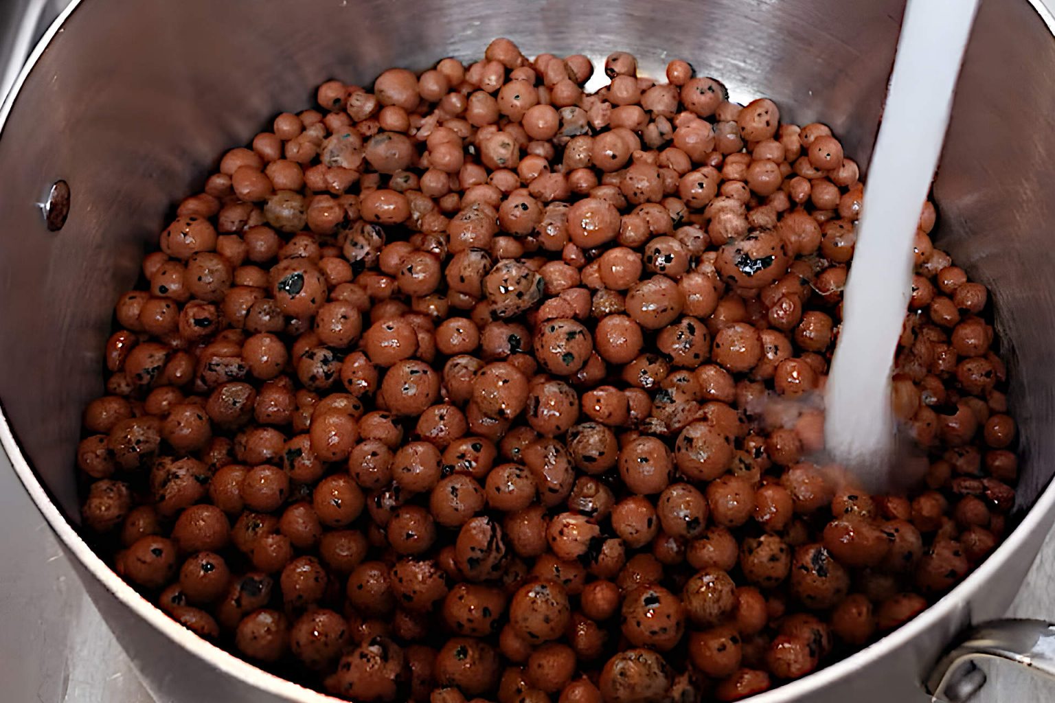 A Complete Guide to Preparing LECA Balls for Use Gardening Latest