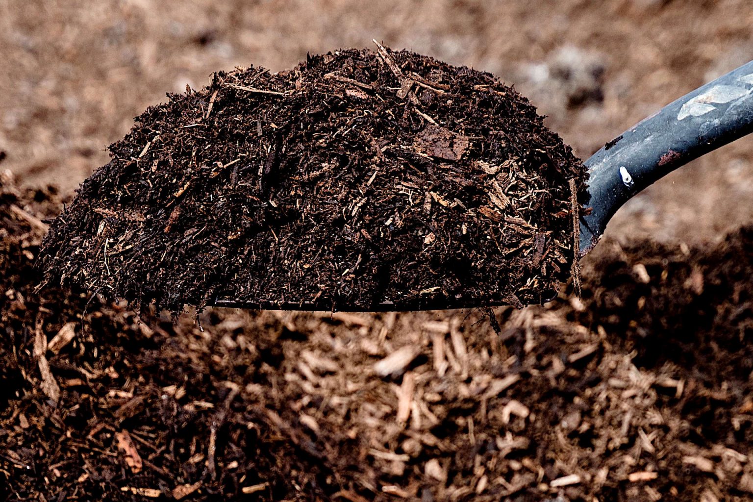 Manure vs Compost The Differences Explained and Which Works Best For Your Garden? Gardening