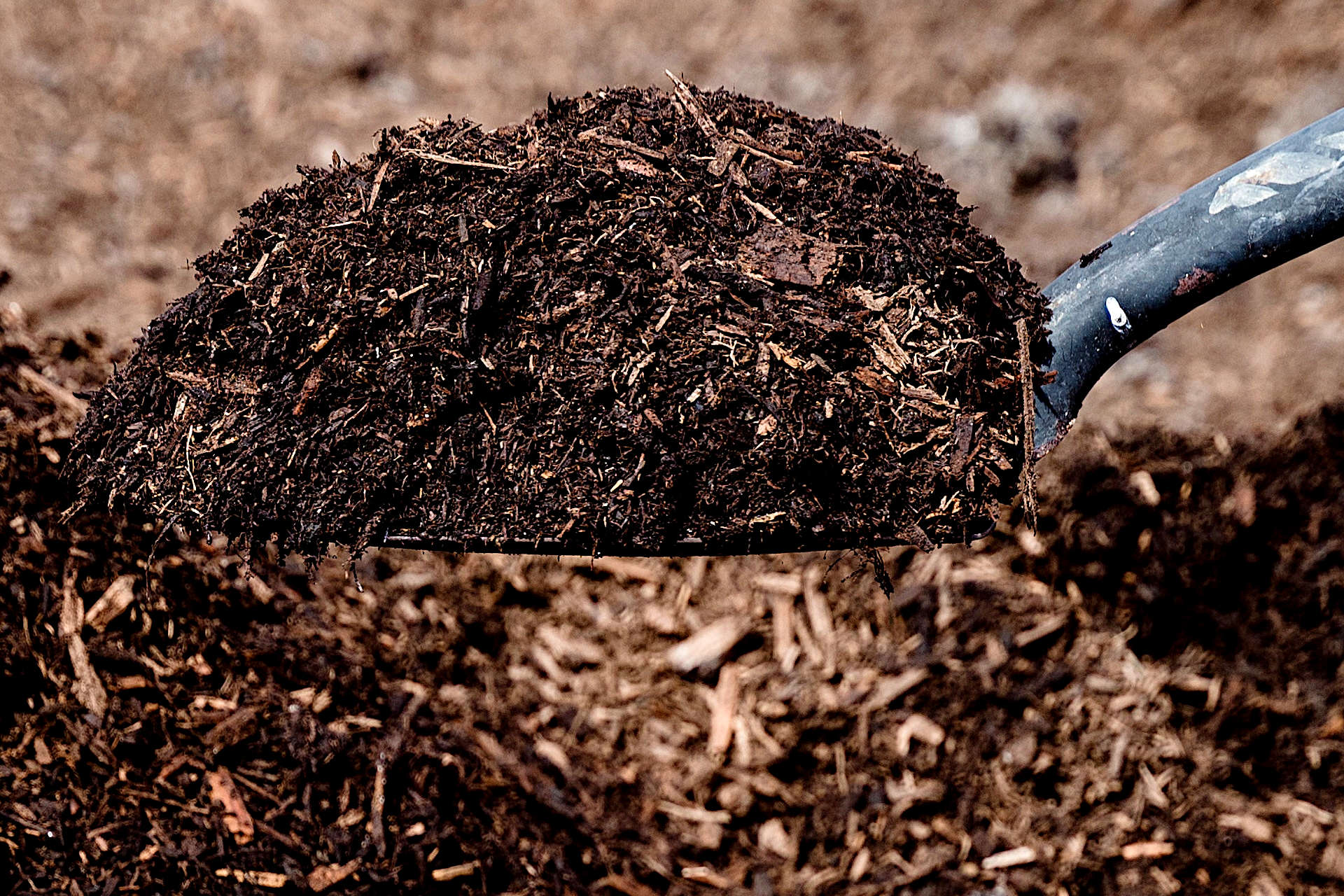 Manure vs Compost The Differences Explained and Which Works Best For