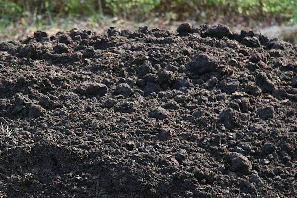 Using Compost to Increase Nitrogen Levels