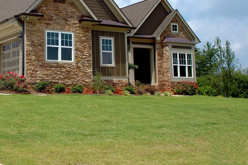 The Benefits Of Adding Iron To Your Lawn