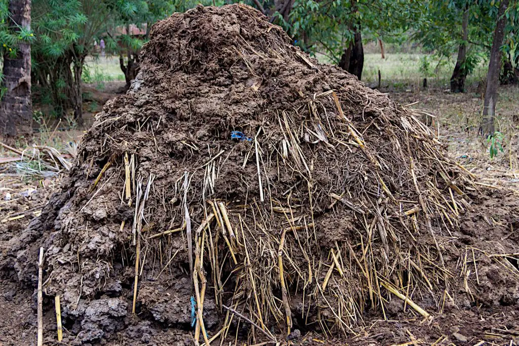 Manure Compost - which compost is best for your garden