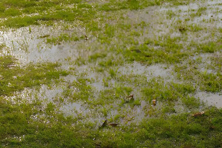 Will Aerating a Lawn Improve Drainage?