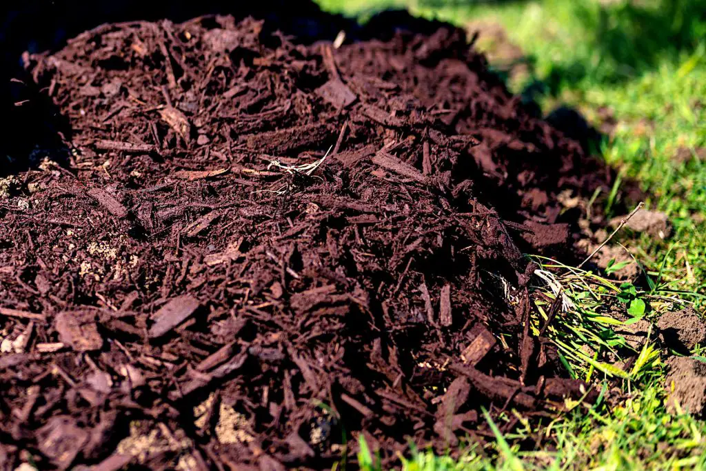 general purpose compost - which compost is best for your garden