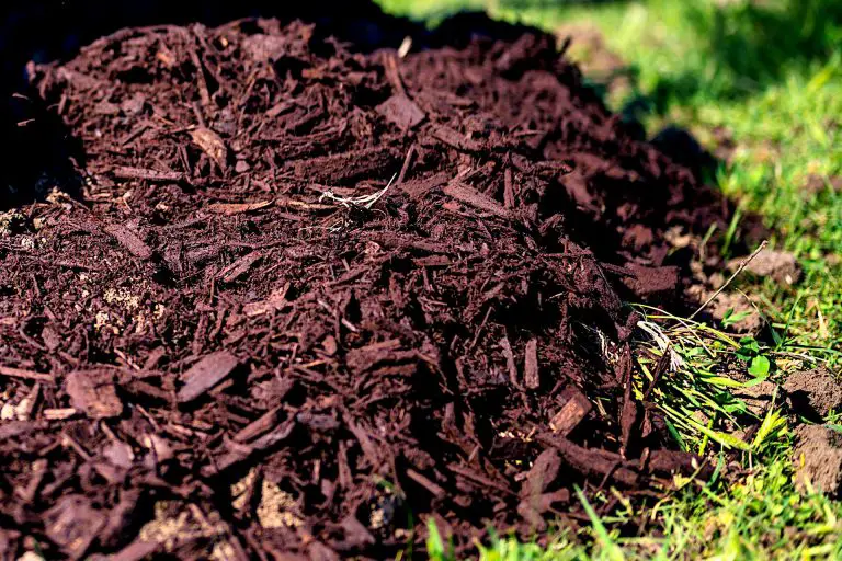 Learn Which Compost is Best for Your Garden? Choosing the Right Compost for The Job