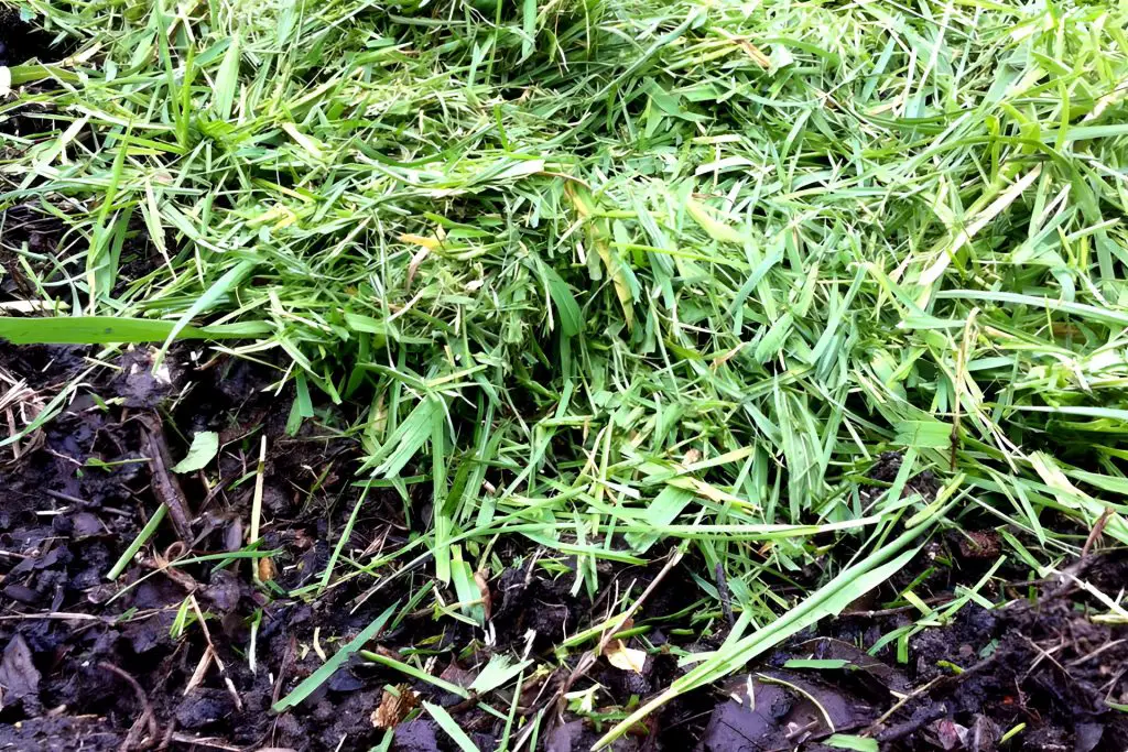 grass clipping other organic material - which compost is best for your garden