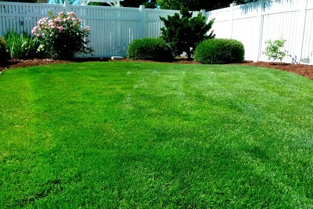 Benefits Of Adding Lime To Your Lawn