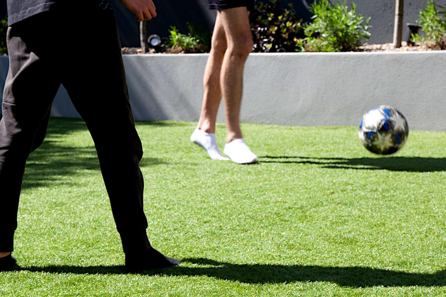 How Safe is Artificial Turf For Pets and Children? Gardening Latest