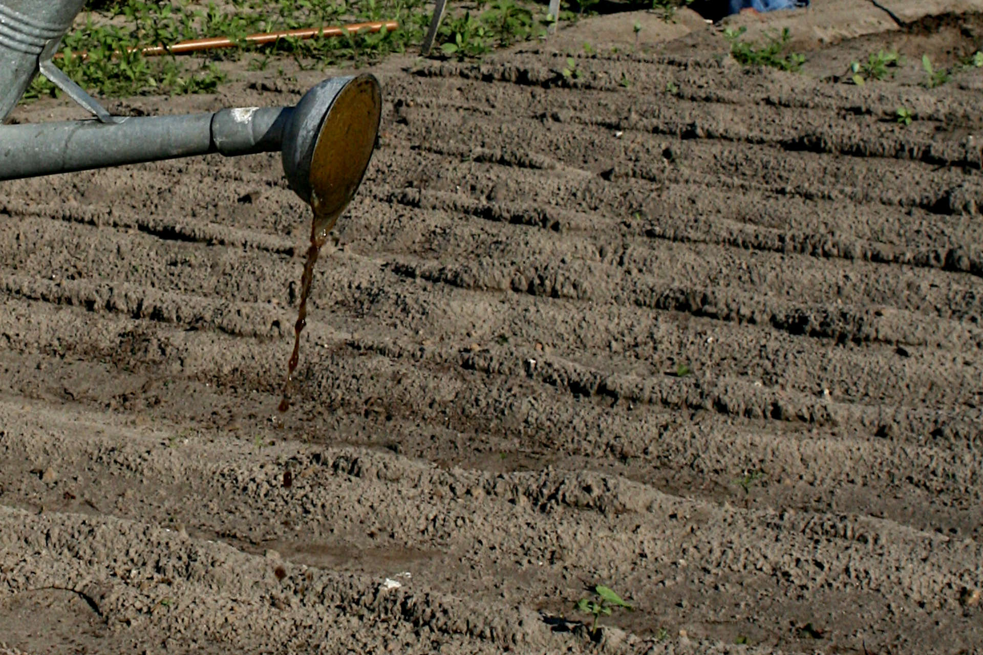 11 Simple Ways To Fix Hydrophobic Soil. How to Effectively Treat Water Repellent Soil