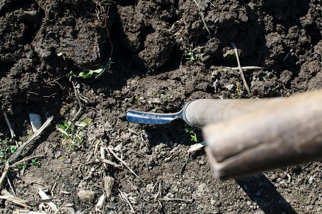 Using Compost to Increase Drainage and Aeration 