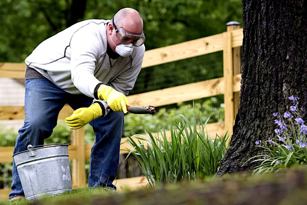 using urea in the garden