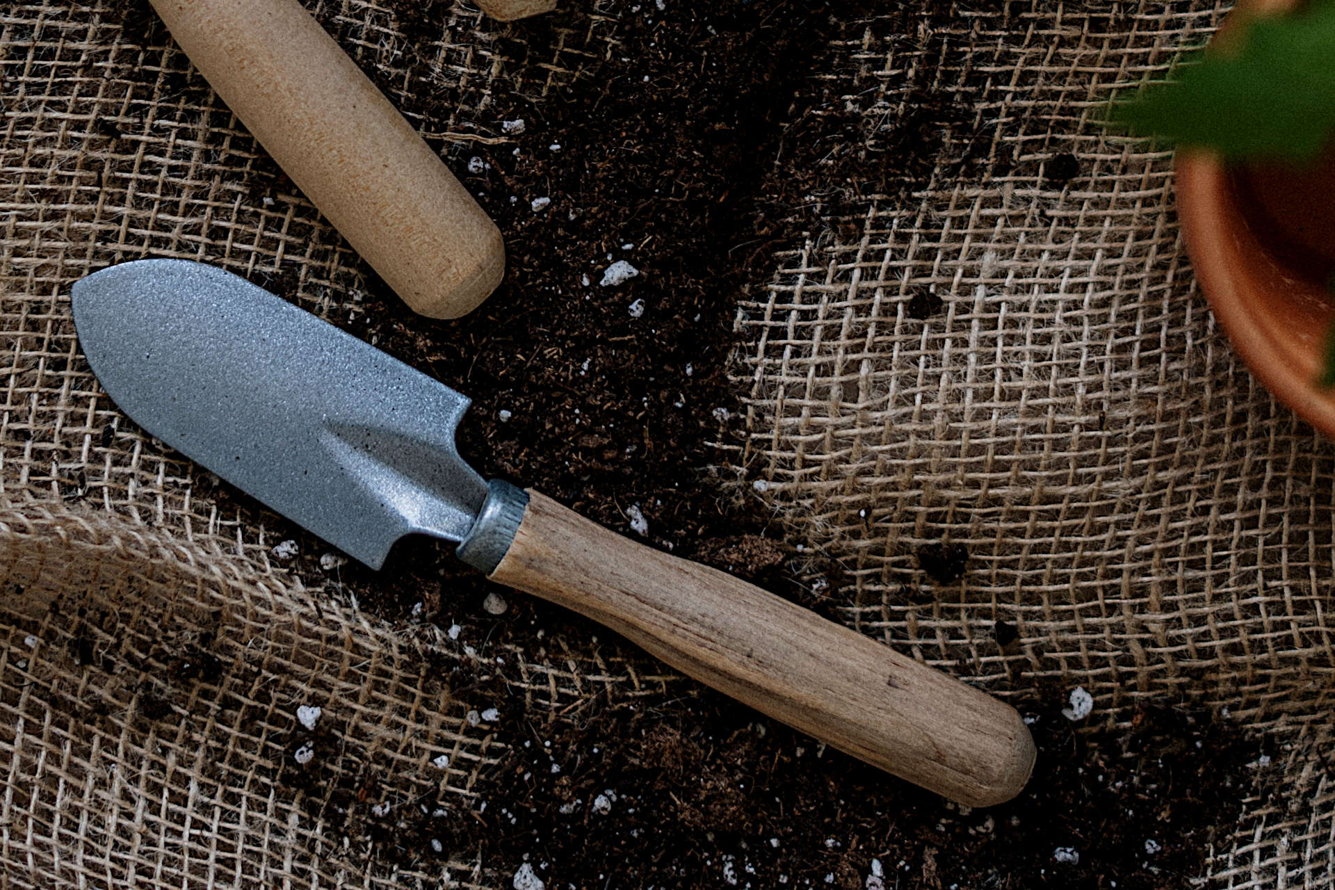 What to Do with Old Potting Soil How To Repurpose Old Potting Soil