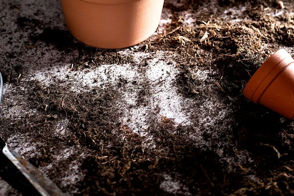 What to do with old potting soil