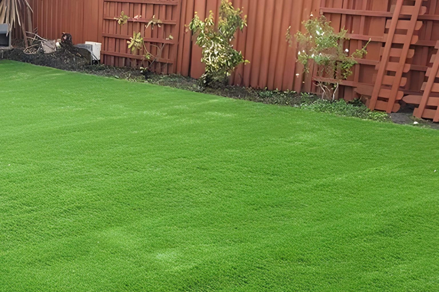 Does Artificial Grass Get Mold? Here's What You Need to Know