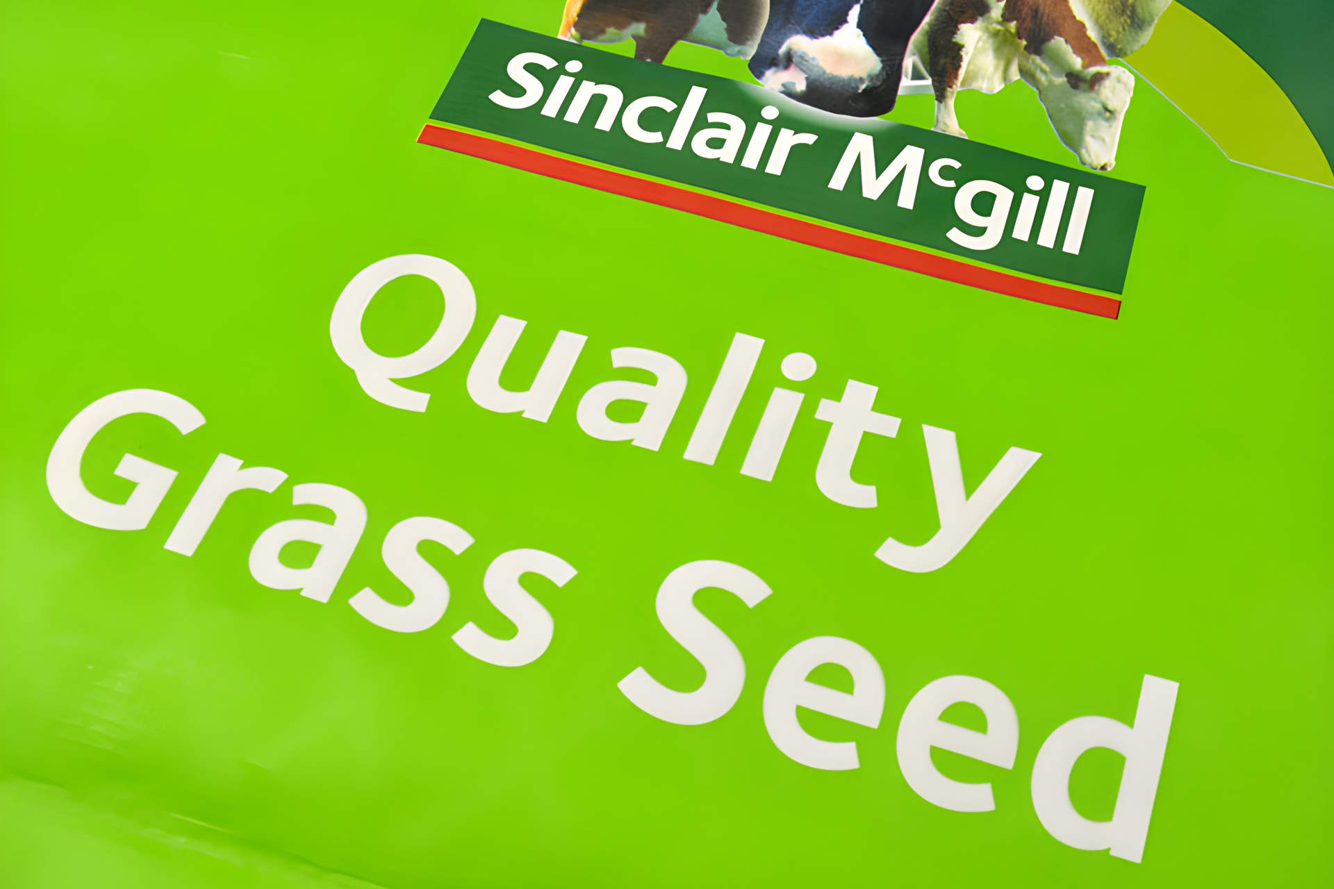 Does Grass Seed Go Bad How To Maintain the Viability of Your Grass
