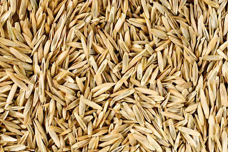 Does Grass Seed Go Bad – How To Maintain the Viability of Your Grass Seed