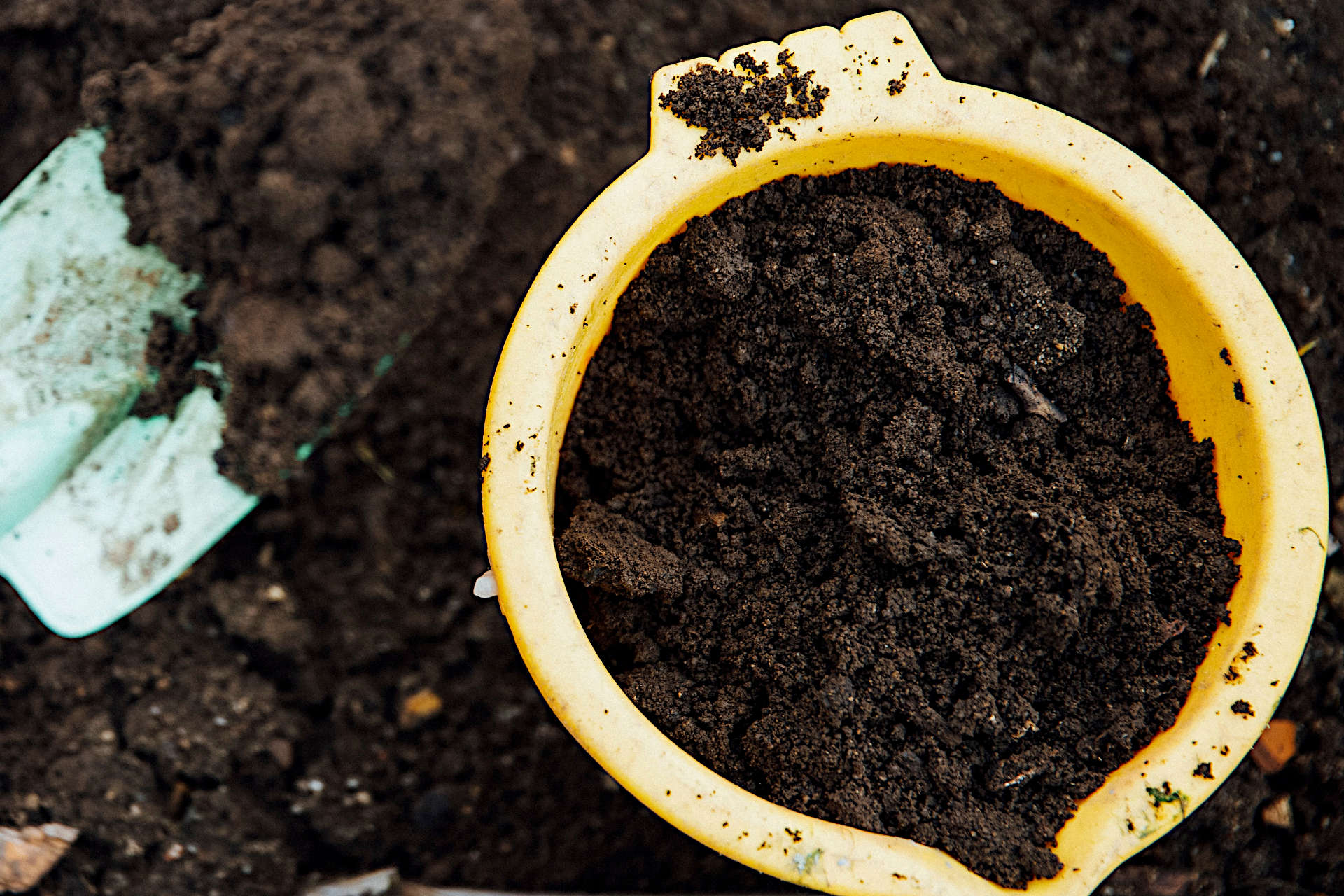 is-soil-conditioner-or-compost-better-for-your-lawn-gardening-latest