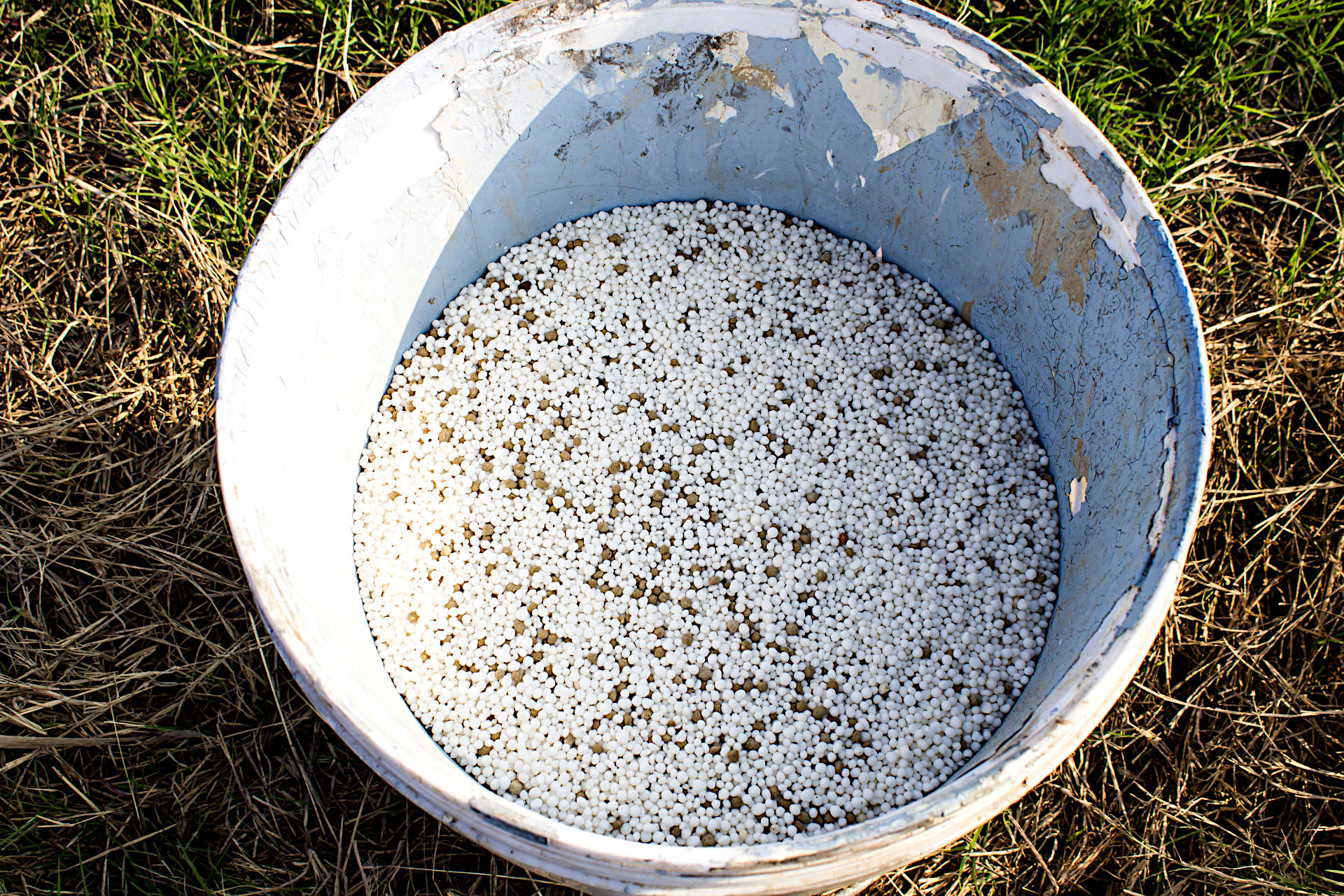 How Long Does It Take for Granular Fertilizer to Dissolve Gardening