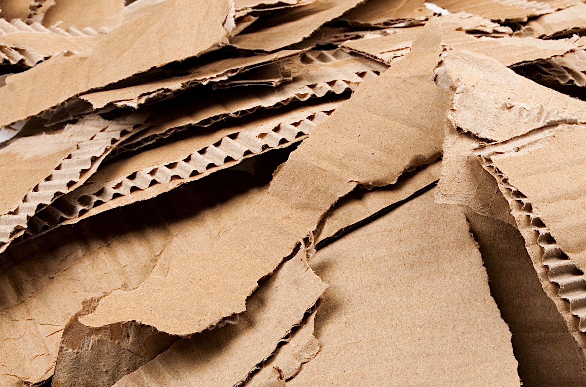 How to Shred Cardboard for Compost Gardening Latest