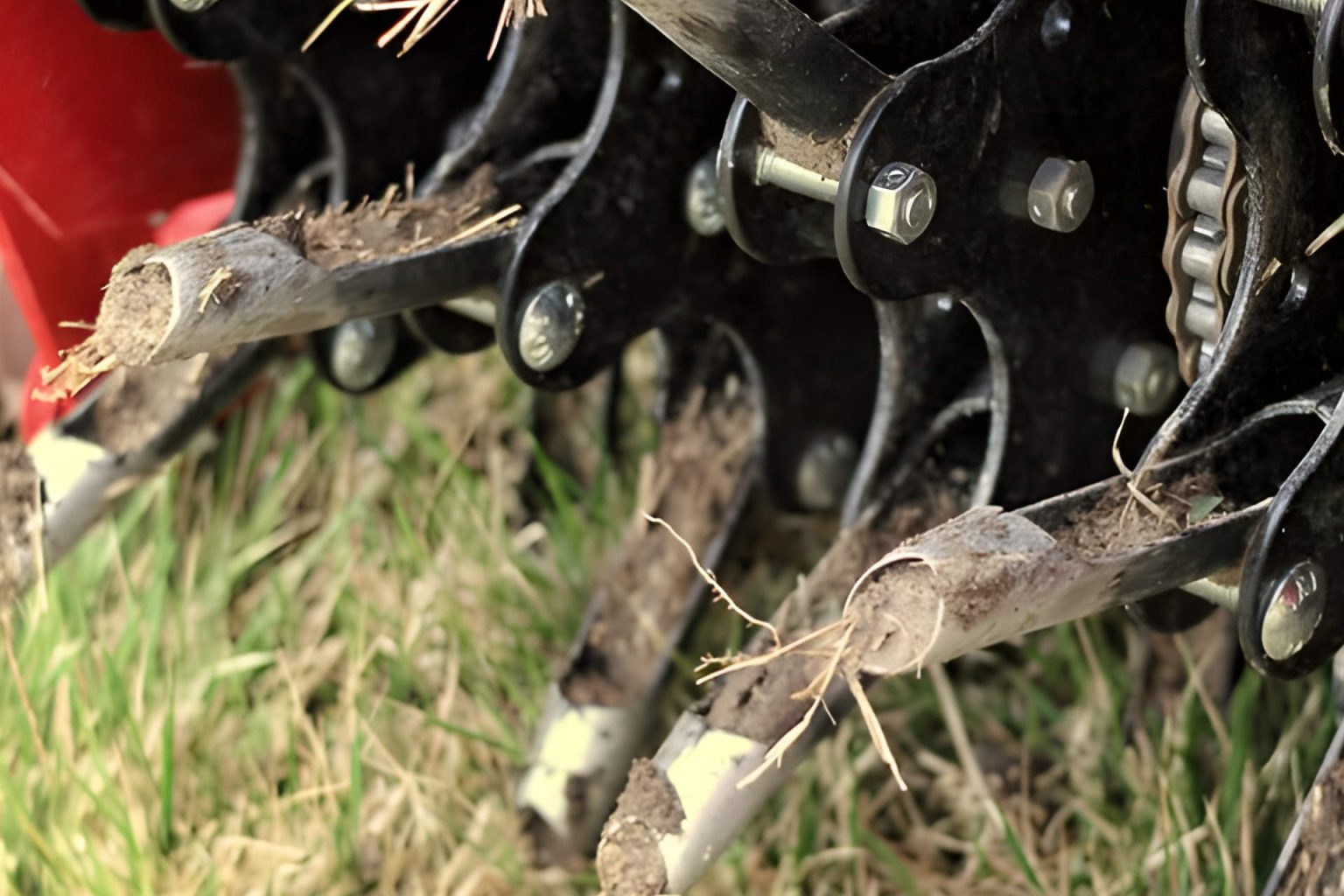 Spike vs Plug Aerator What Are the Differences and Which Is Best for