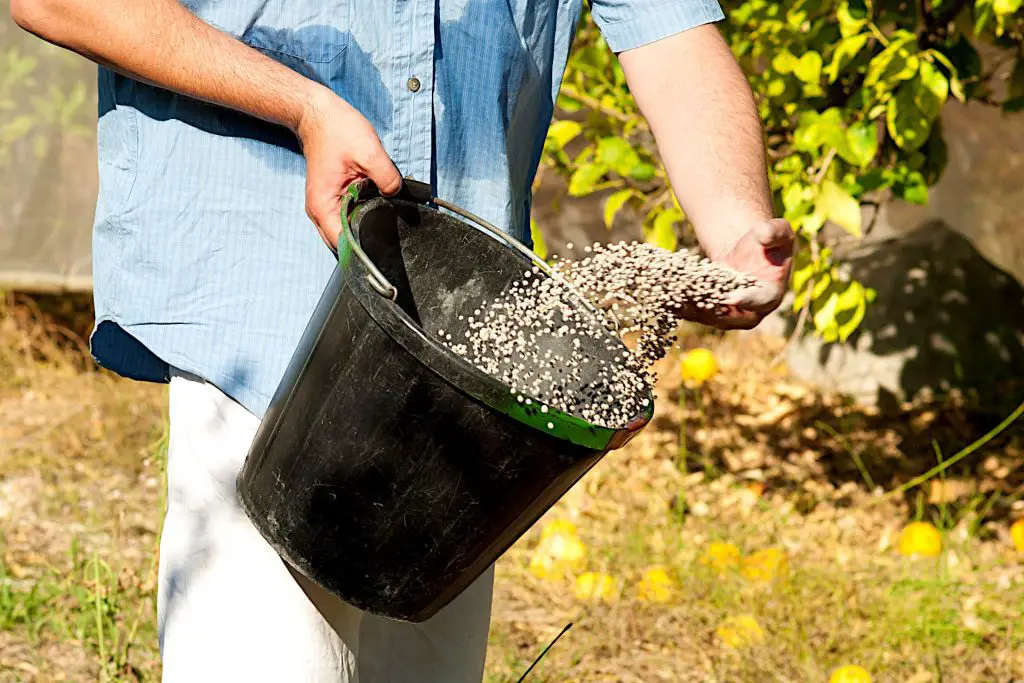 How Long Does Granular Fertilizer Last in Soil - How Long Does It Take for Granular Fertilizer to Dissolve