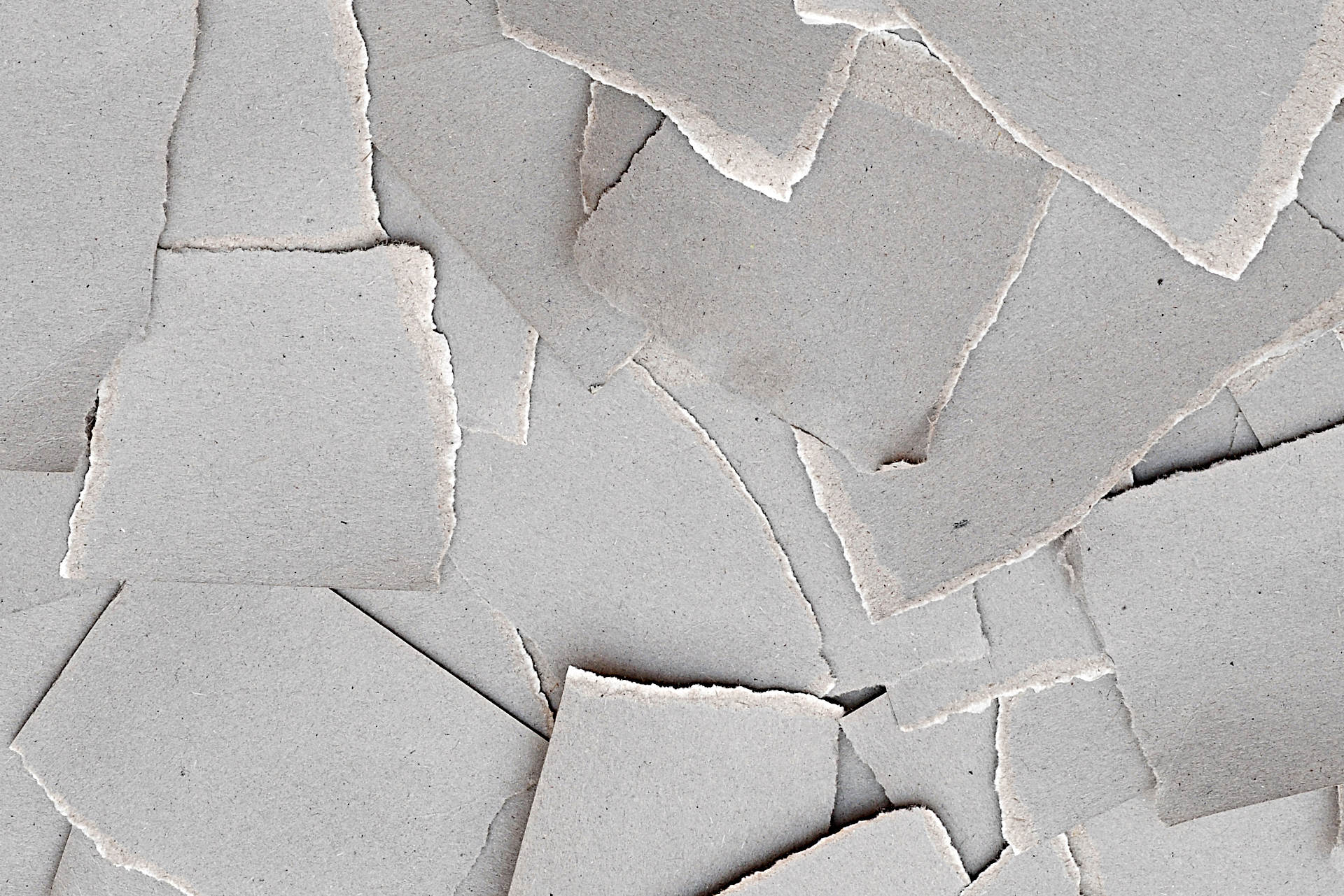 How to Shred Cardboard for Compost Gardening Latest