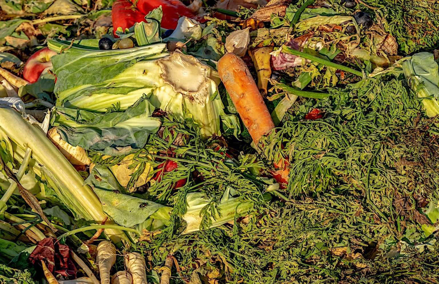 To Turn or Not to Turn: Passive Composting vs Active Composting ...