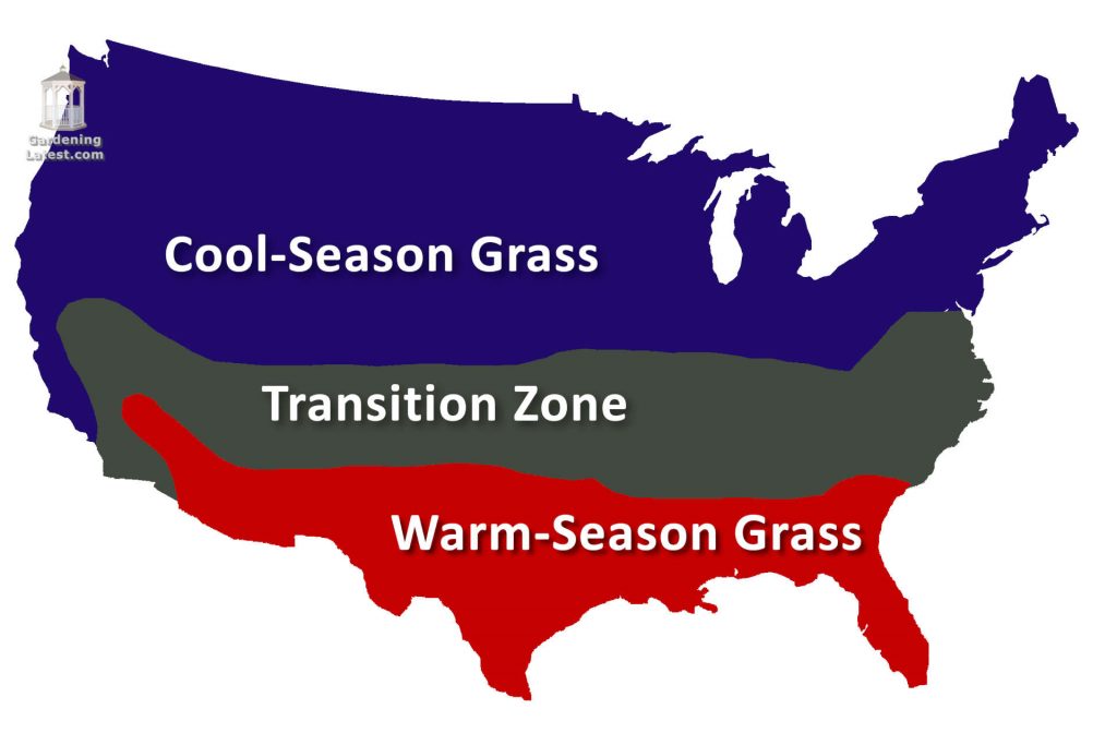 grass seed mixtures for transitional zone