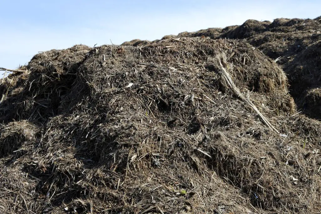 Production The Difference Between Composts and Fertilizers  - Compost vs Fertilizer 