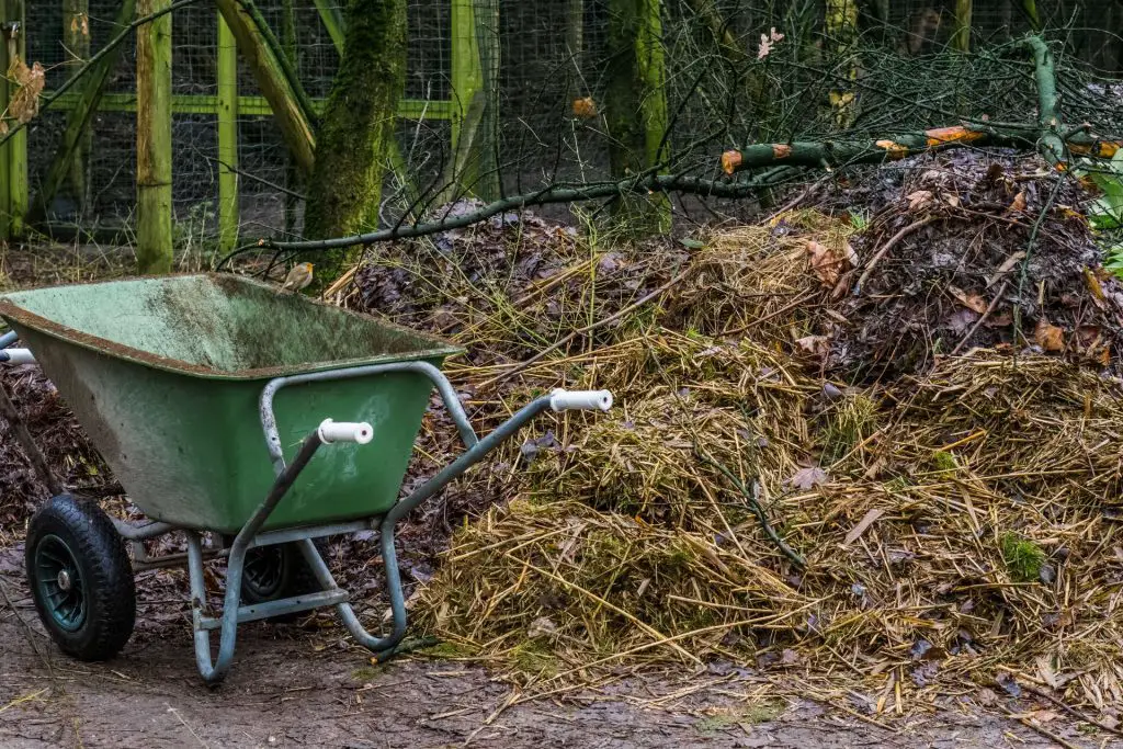 Compost pile