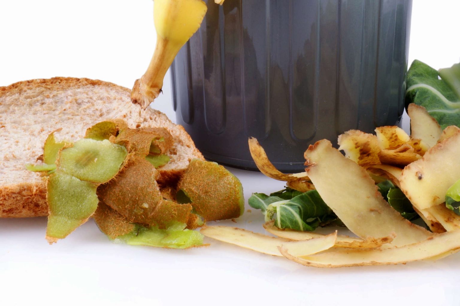 Can Bread Be Composted? The Pros and Cons Gardening Latest