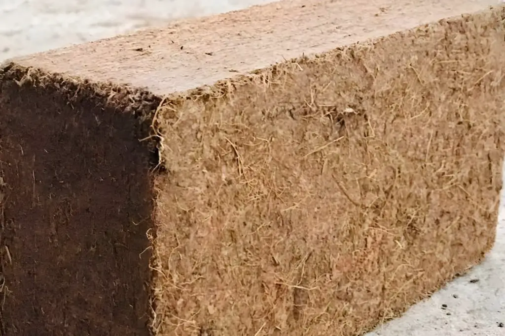 Coconut Coir 