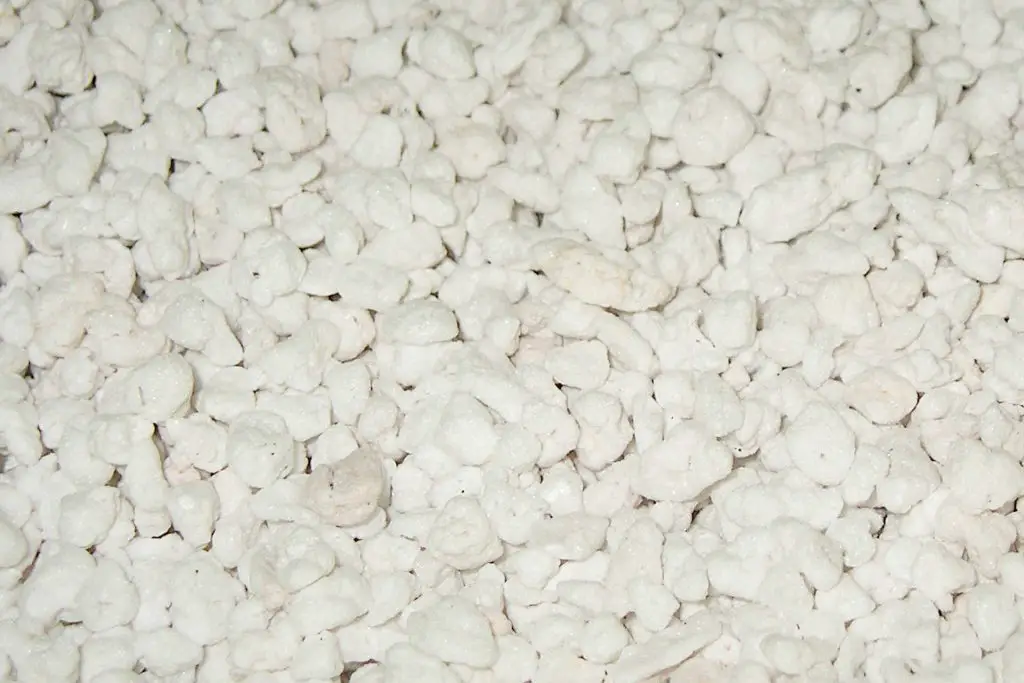 growing medium -perlite