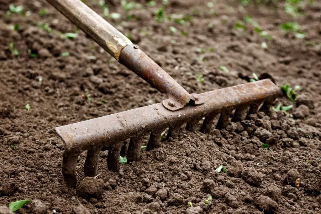 preparing the ground for seeding